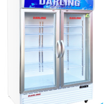 Tủ mát 2 cánh Darling DL-12000A 1100 Lít