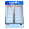 Tủ mát 2 cánh Darling DL-12000A2 1100L