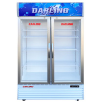 Tủ mát 2 cánh Darling DL-12000A2 1100L
