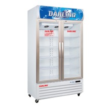 Tủ mát 2 cánh Darling DL-7000A3