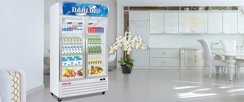 Tủ mát Darling Inverter 2 cánh mở