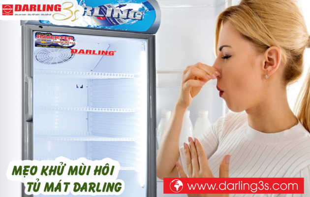 Mẹo khử mùi hôi tủ mát Darling cực đơn giản tại nhà
