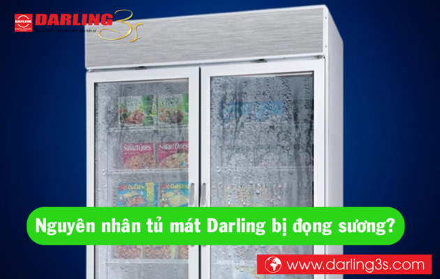 Tủ mát Darling bị đọng sương