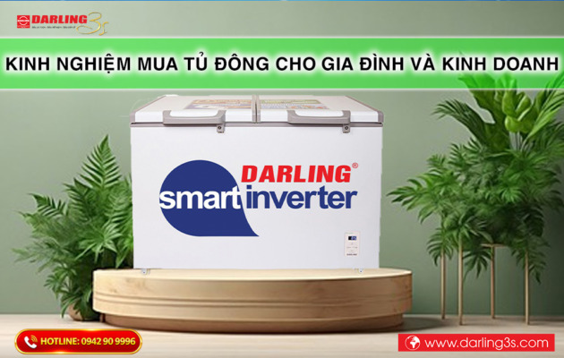 Kinh nghiệm mua tủ đông cho gia đình và kinh doanh